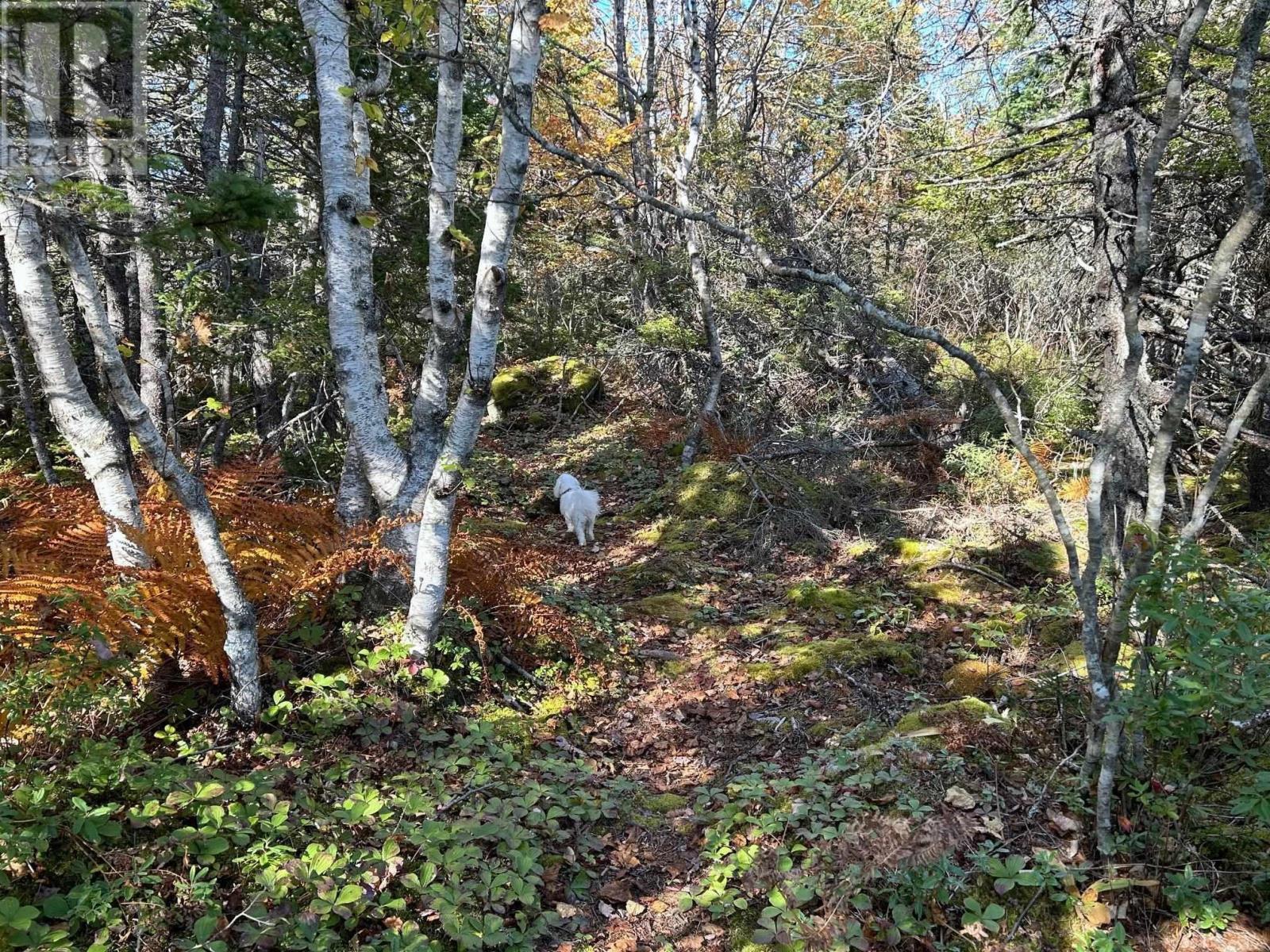 52 Island Watch Run, North West Cove, Nova Scotia  B0J 1T0 - Photo 46 - 202424832