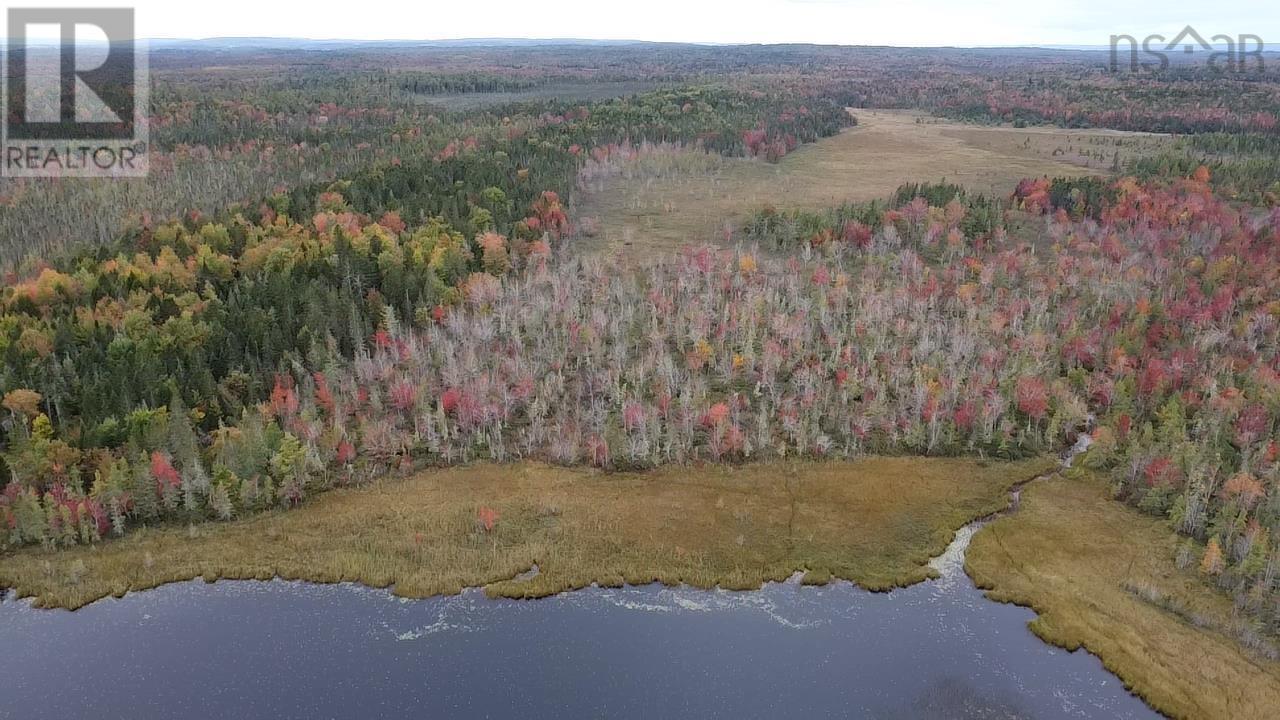 Lot Walton Woods Road, Pembroke, Nova Scotia  B0N 2A0 - Photo 4 - 202424851