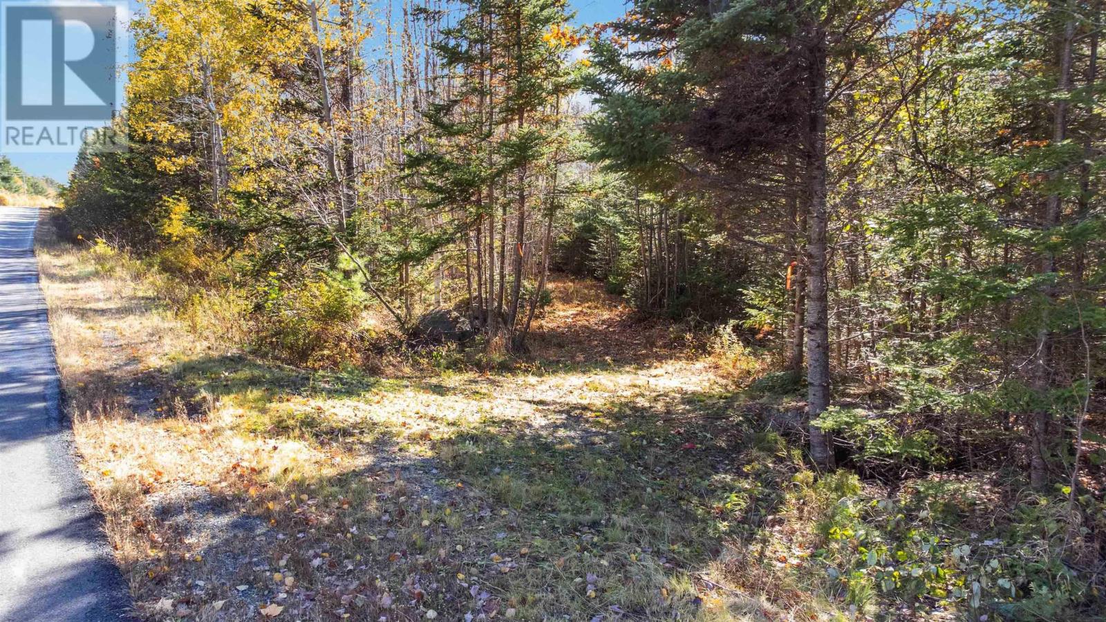 Lot Highway 208, Simpsons Corner, Nova Scotia  B0R 1E0 - Photo 12 - 202424903