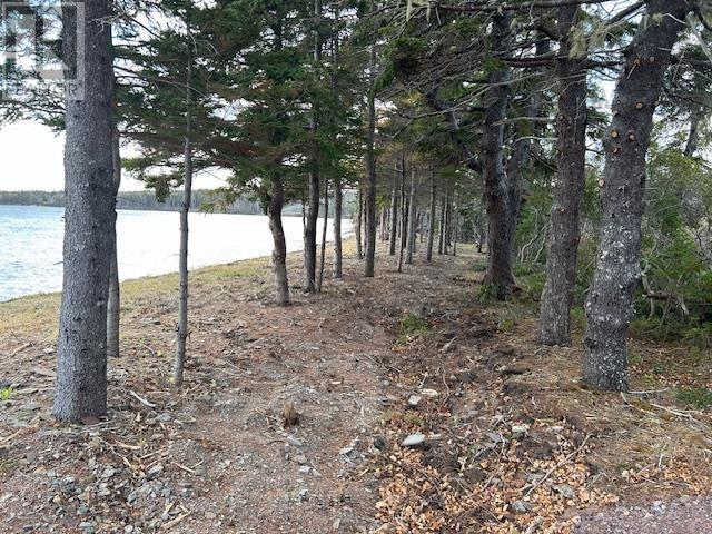 Lot 1a-9 Birch Crescent, Cape George, Nova Scotia  B0E 3B0 - Photo 24 - 202424937