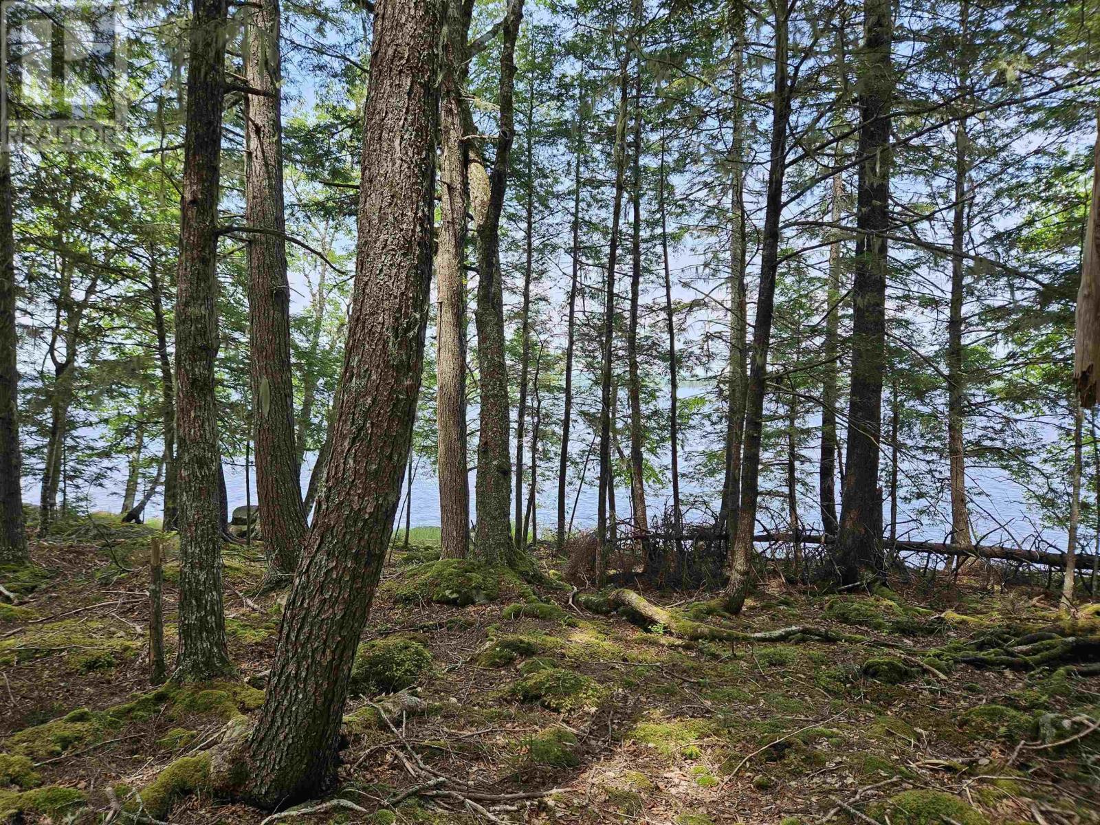 116 & 16 Harry Freeman Road, Labelle, Nova Scotia  B0T 1E0 - Photo 10 - 202424940