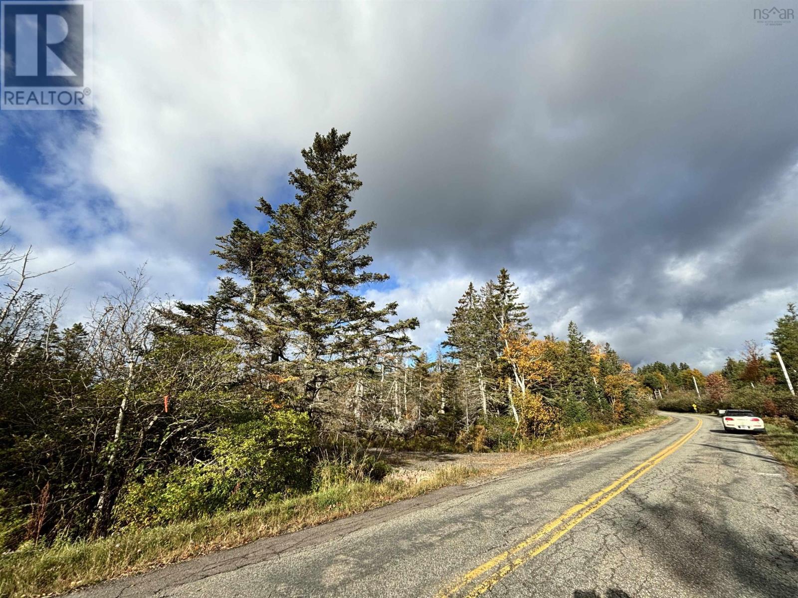 Highway 19 And East Street, Port Hood, Nova Scotia  B0E 2W0 - Photo 4 - 202424945