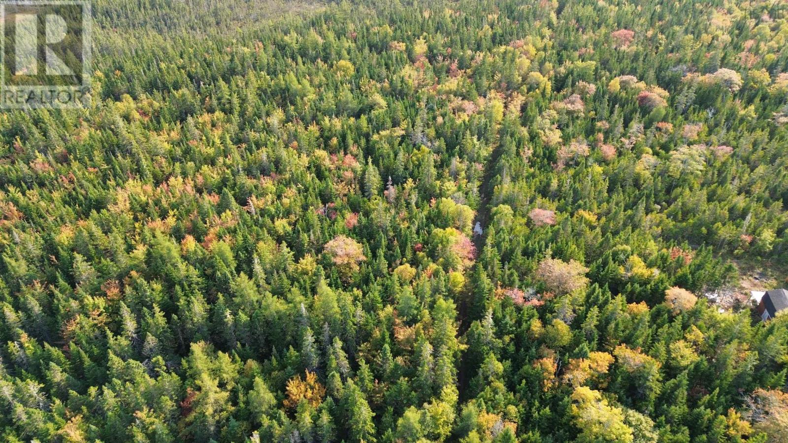 Scotch Road, Whiteside, Nova Scotia  B0E 1J0 - Photo 12 - 202425010