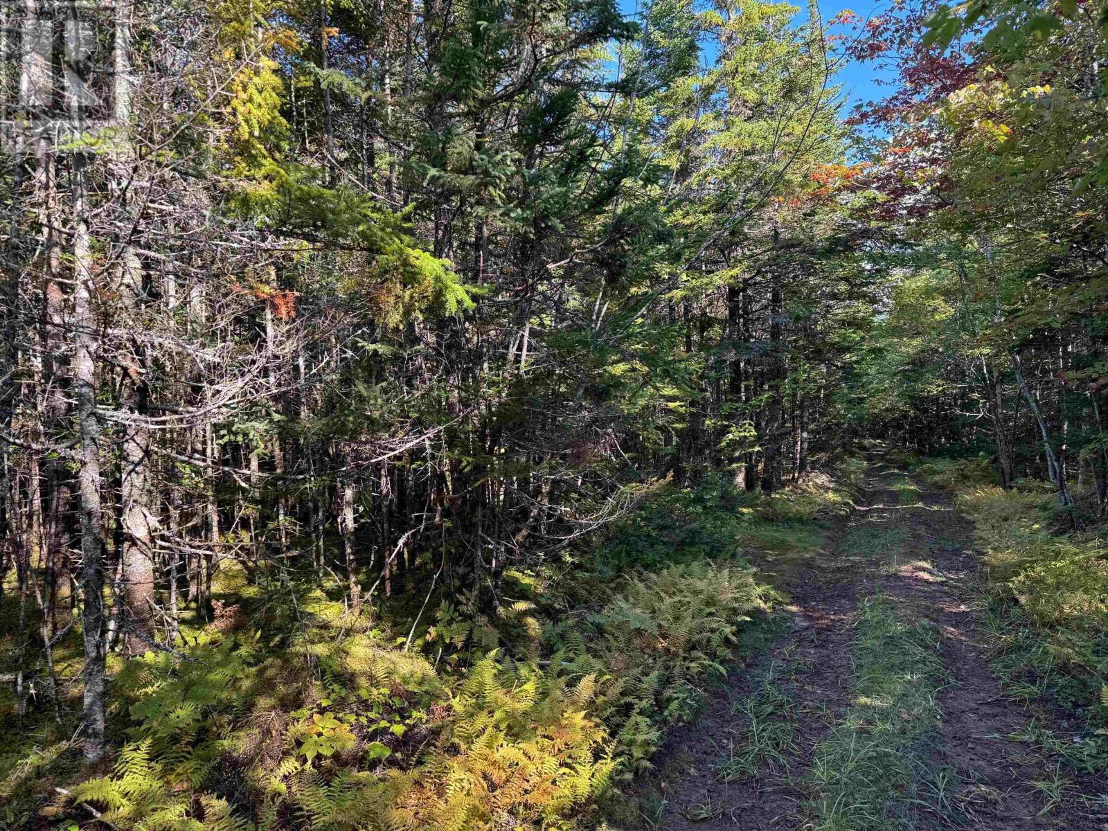 Scotch Road, Whiteside, Nova Scotia  B0E 1J0 - Photo 14 - 202425010