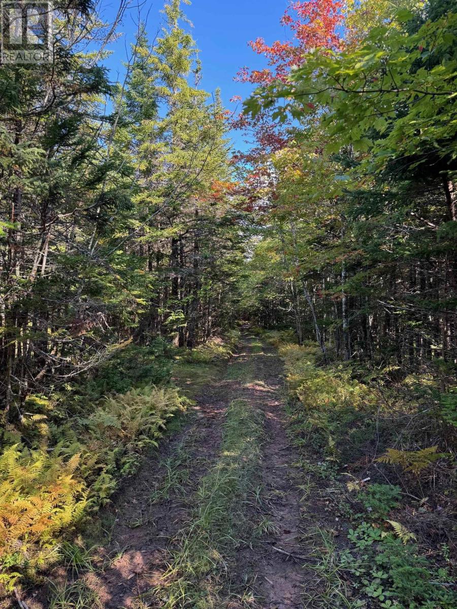 Scotch Road, Whiteside, Nova Scotia  B0E 1J0 - Photo 16 - 202425010