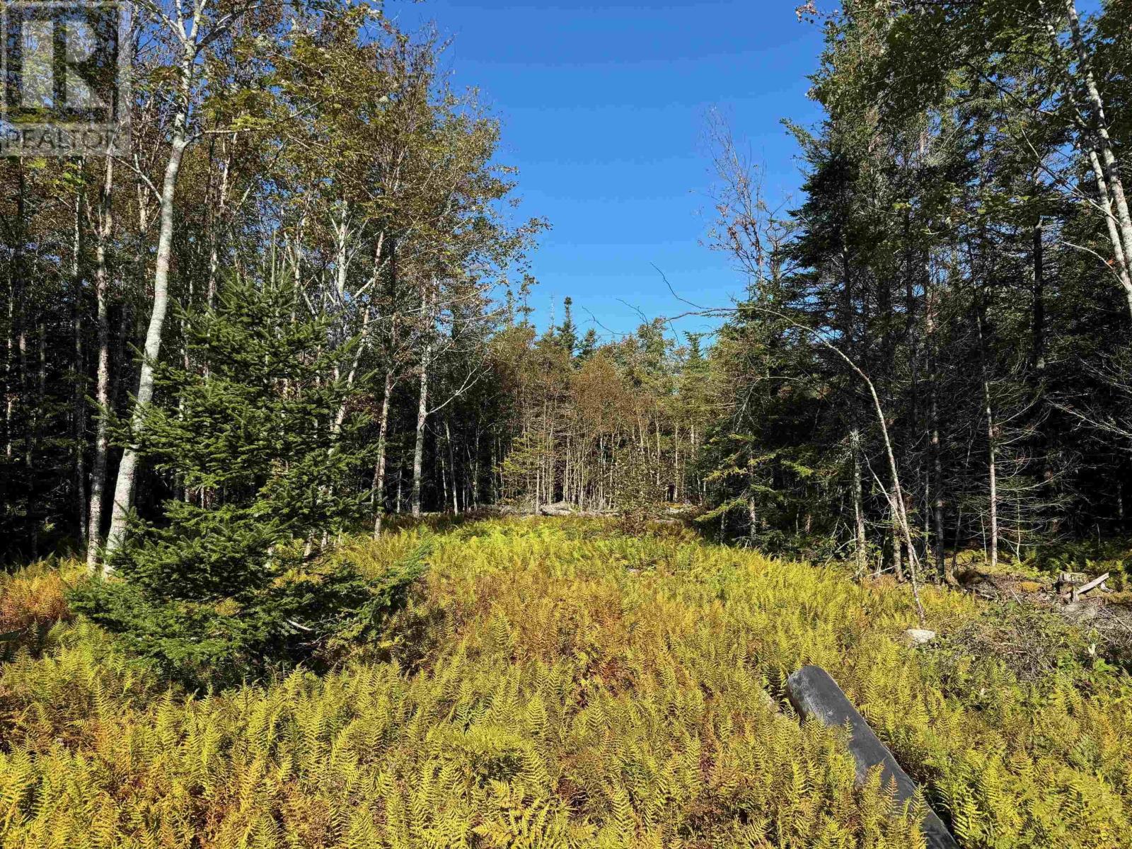 Scotch Road, Whiteside, Nova Scotia  B0E 1J0 - Photo 20 - 202425010