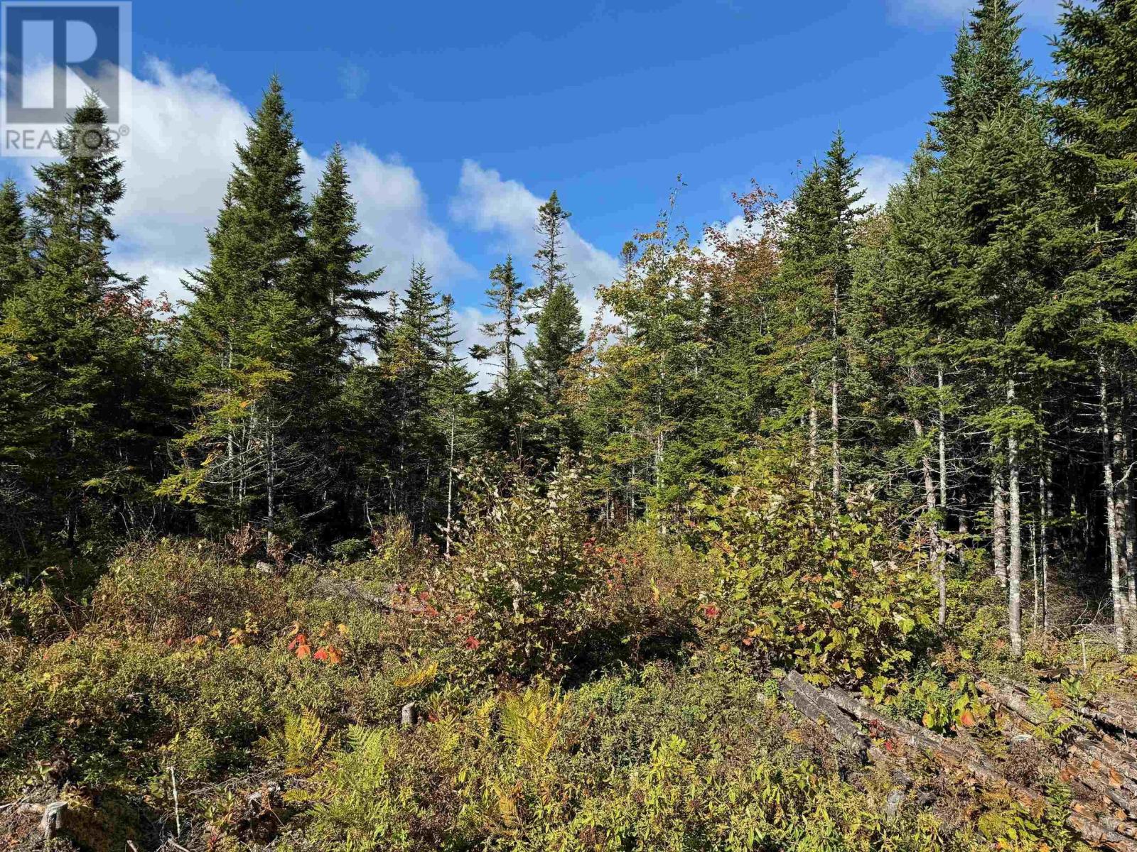 Scotch Road, Whiteside, Nova Scotia  B0E 1J0 - Photo 23 - 202425010