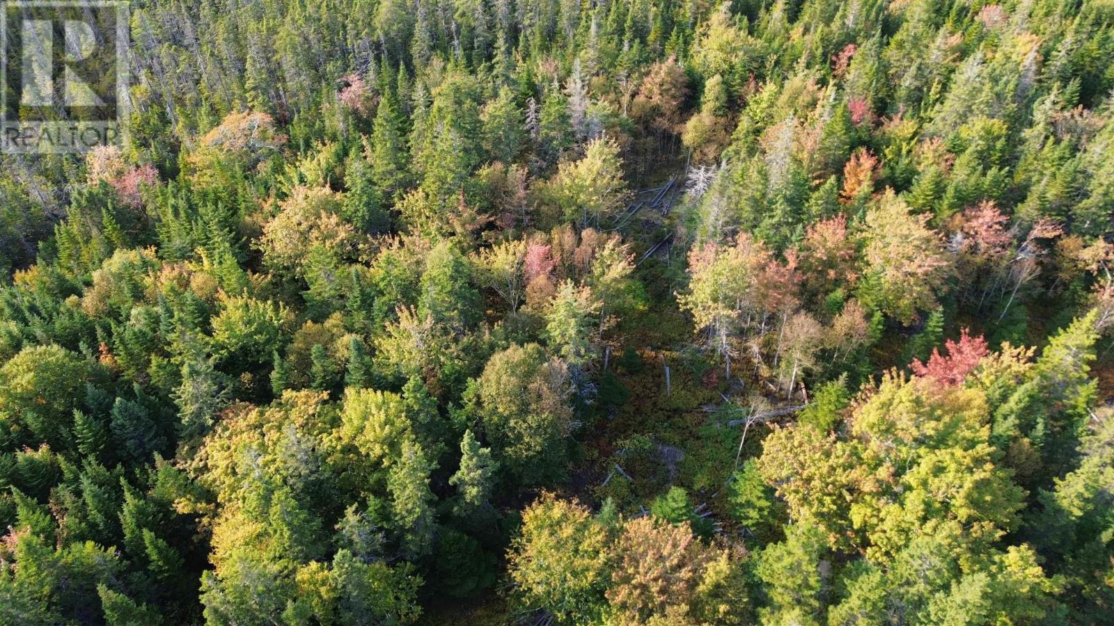 Scotch Road, Whiteside, Nova Scotia  B0E 1J0 - Photo 9 - 202425010