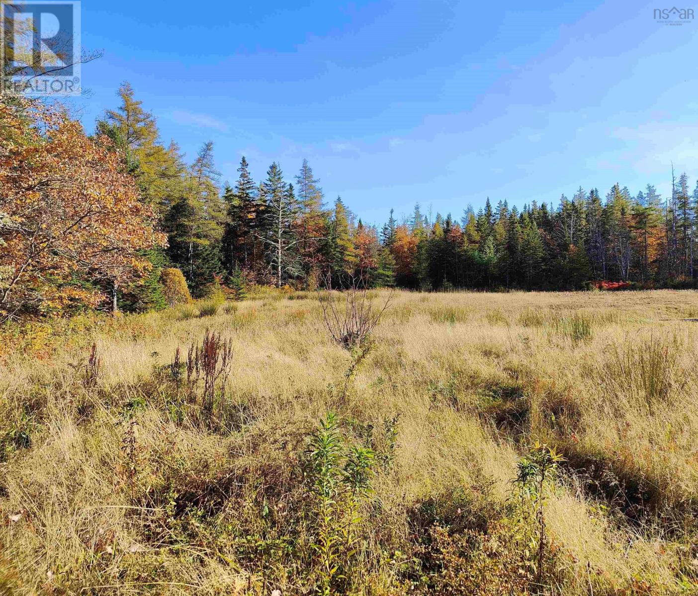 570 County Line Road, Cleveland, Nova Scotia  B0E 1J0 - Photo 4 - 202425132