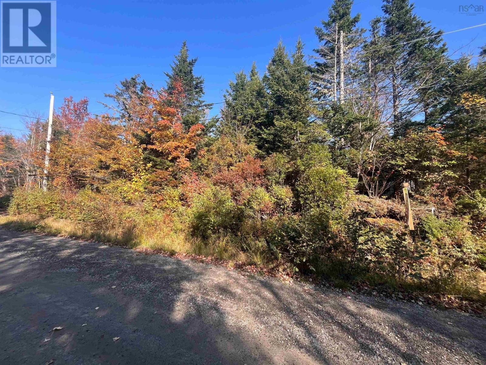 Lot Belleville Road, Belleville, Nova Scotia  B0W 3M0 - Photo 2 - 202425153