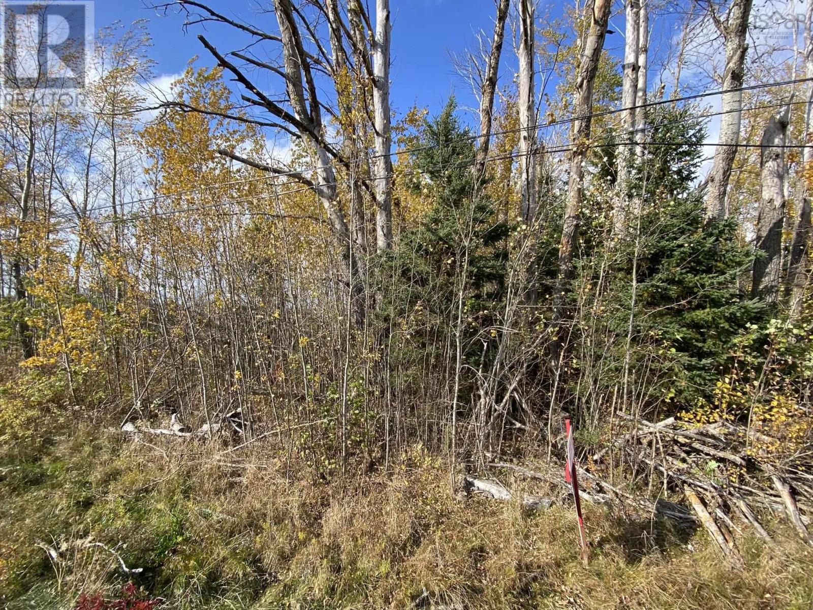 Lot 3a Highway 215, Noel, Nova Scotia  B0N 2C0 - Photo 4 - 202425193