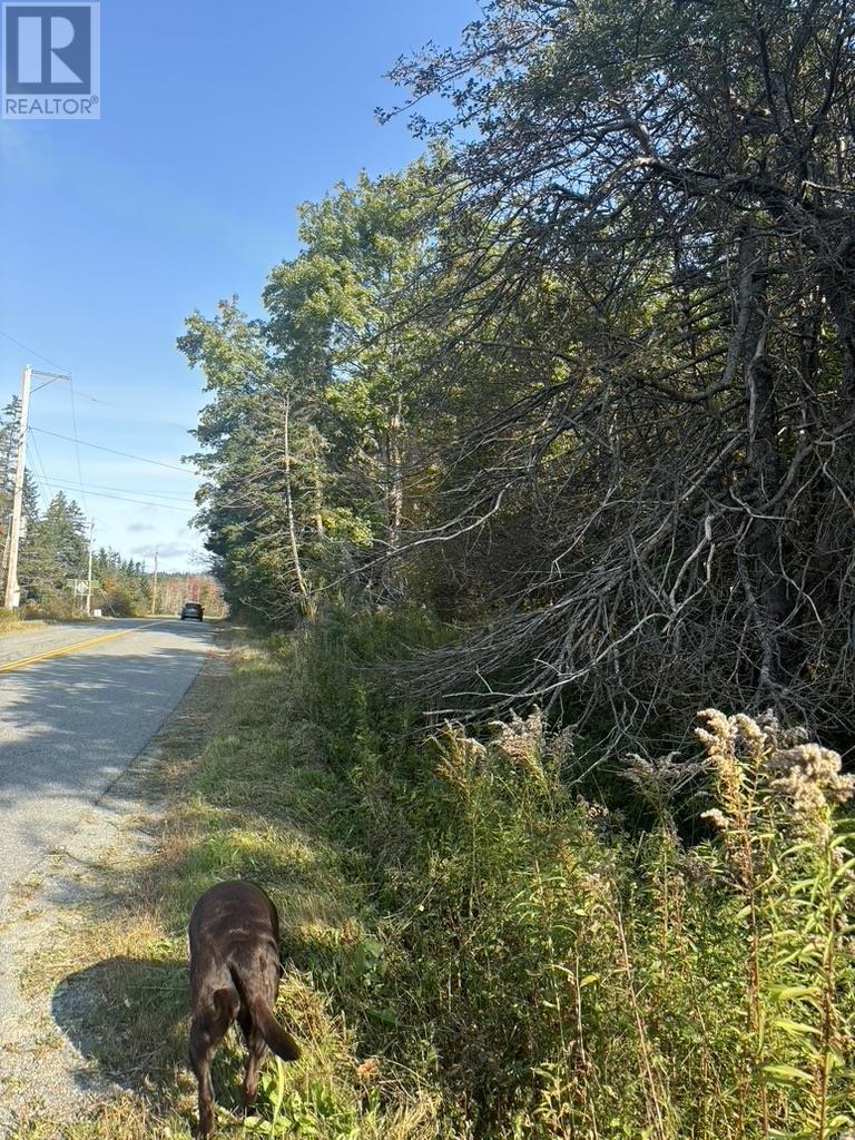 Lot 1 East Petpeswick Road, east petpeswick, Nova Scotia