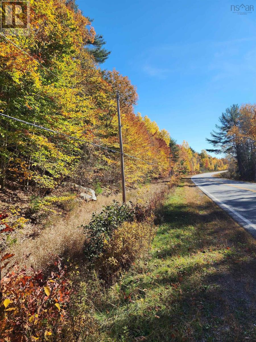 Hwy 325, West Clifford, Nova Scotia  B4V 8H3 - Photo 11 - 202425225