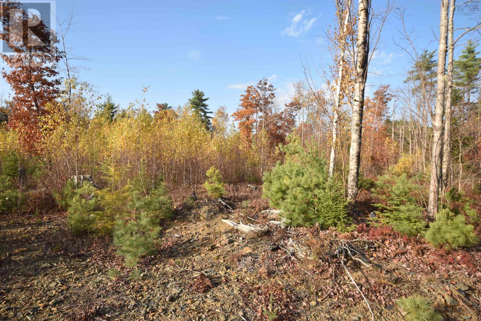 Lot Upper Branch Road, midville branch, Nova Scotia