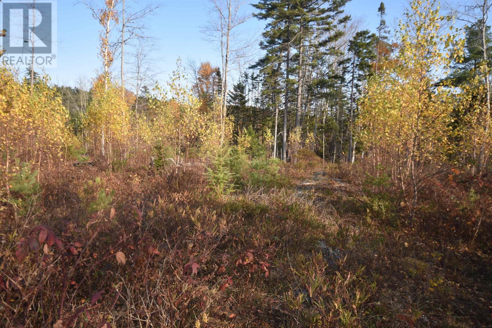 Lot Upper Branch Road, Midville Branch, Nova Scotia  B4V 4S9 - Photo 2 - 202425320