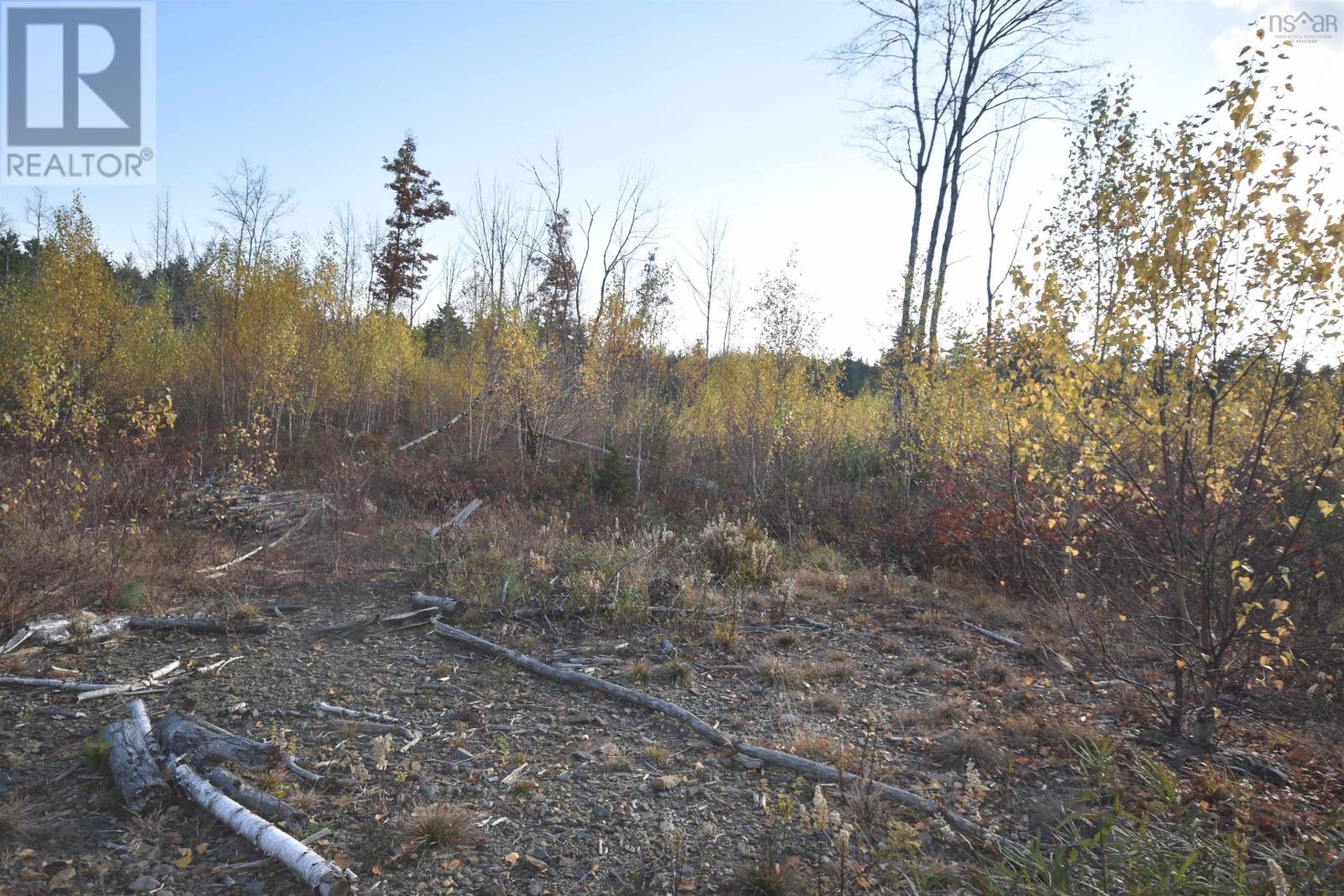 Lot Upper Branch Road, Midville Branch, Nova Scotia  B4V 4S9 - Photo 5 - 202425320