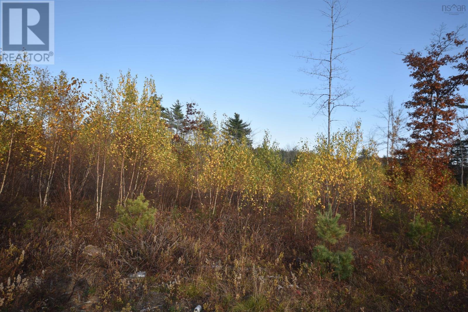 Lot Upper Branch Road, Midville Branch, Nova Scotia  B4V 4S9 - Photo 6 - 202425320