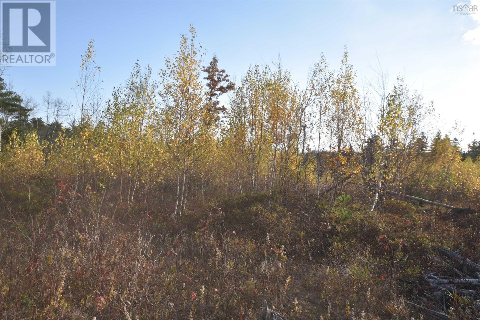 Lot Upper Branch Road, Midville Branch, Nova Scotia  B4V 4S9 - Photo 7 - 202425320