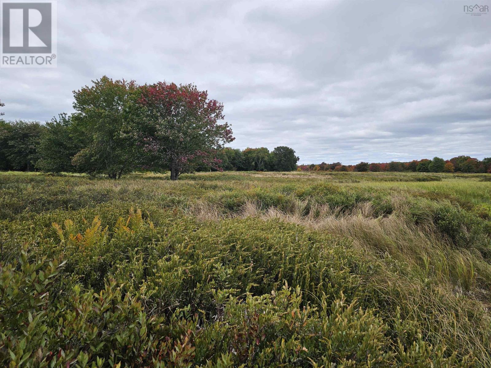 Six Marsh Islands, Upper Ohio, Nova Scotia  B0T 1W0 - Photo 2 - 202425366