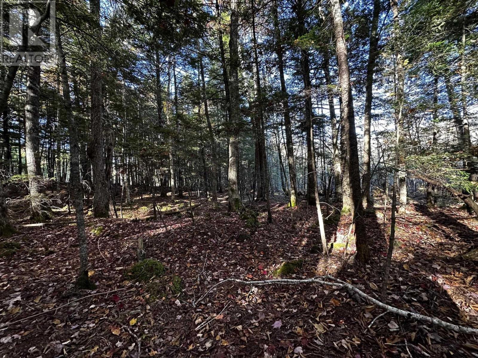 Lot 30 Madashak Road, Middle Cornwall, Nova Scotia  B0J 2E0 - Photo 3 - 202425388