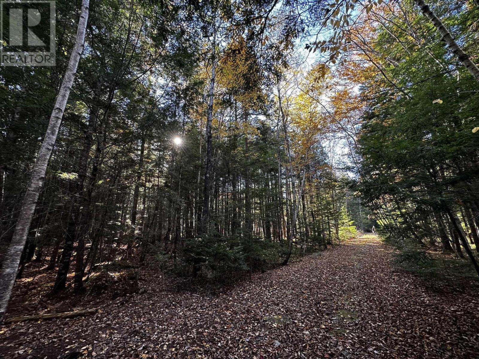 Lot 30 Madashak Road, Middle Cornwall, Nova Scotia  B0J 2E0 - Photo 7 - 202425388