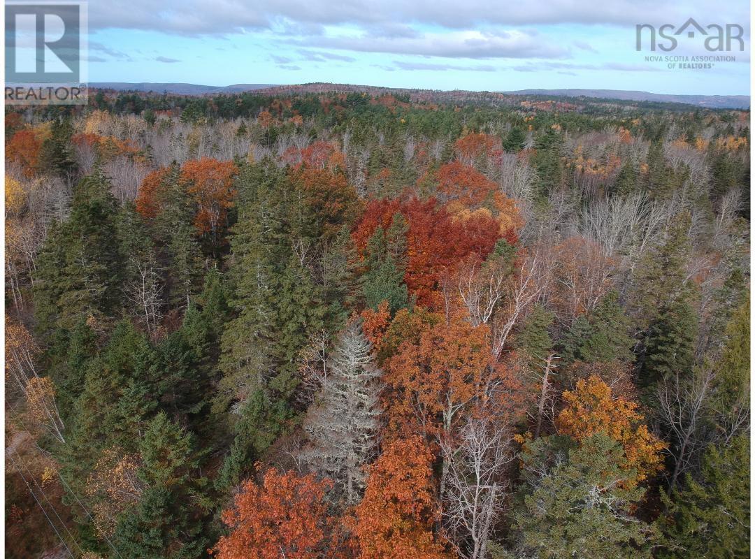 Lot West Dalhousie Road, Lake La Rose, Nova Scotia  B0S 1A0 - Photo 2 - 202425410