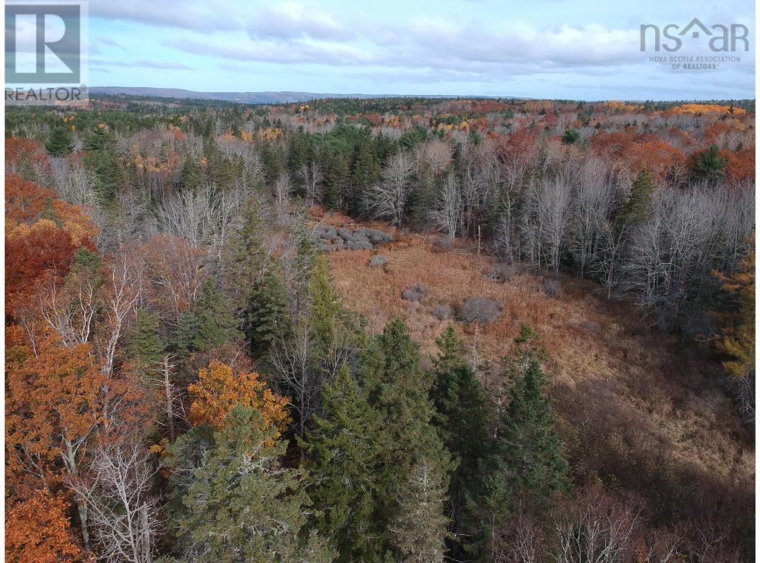 Lot West Dalhousie Road, Lake La Rose, Nova Scotia  B0S 1A0 - Photo 3 - 202425410