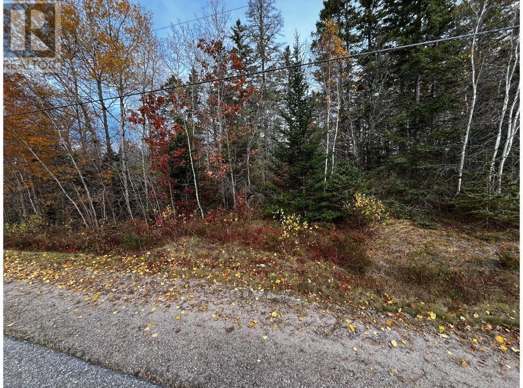 Lot West Dalhousie Road, Lake La Rose, Nova Scotia  B0S 1A0 - Photo 7 - 202425410