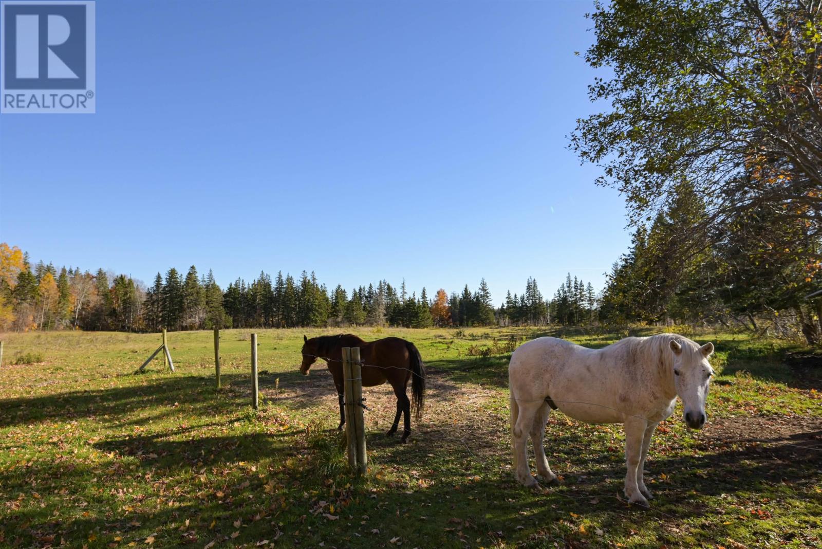 2639 Cabot Trail, Middle River, Nova Scotia  B0E 1B0 - Photo 45 - 202425434