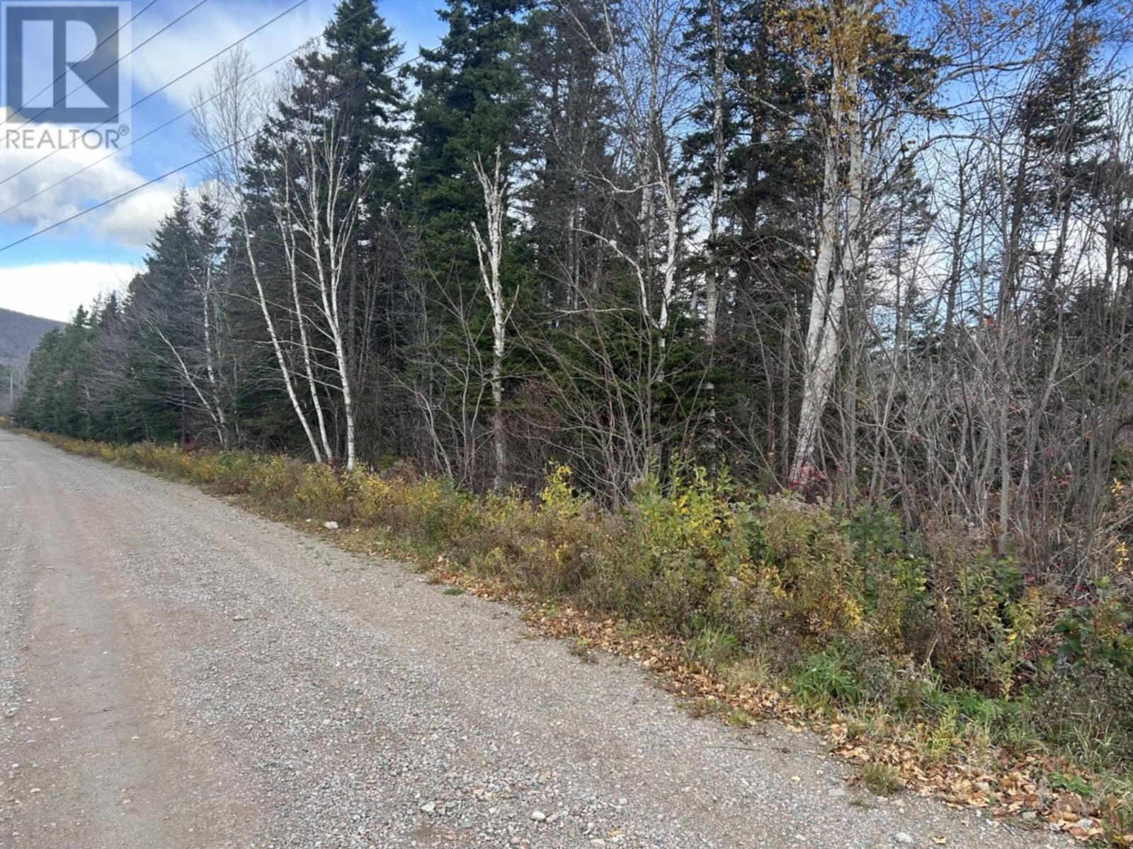 Parcel 8 Cabot Trail Road, Tarbot, Nova Scotia  B0C 1H0 - Photo 3 - 202425441