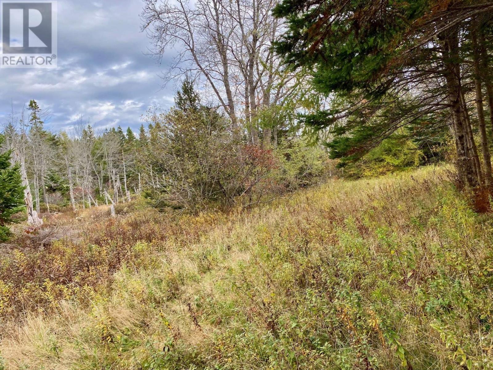 539 Brooklyn Shore Road, Brooklyn, Nova Scotia  B0J 1H0 - Photo 7 - 202425487