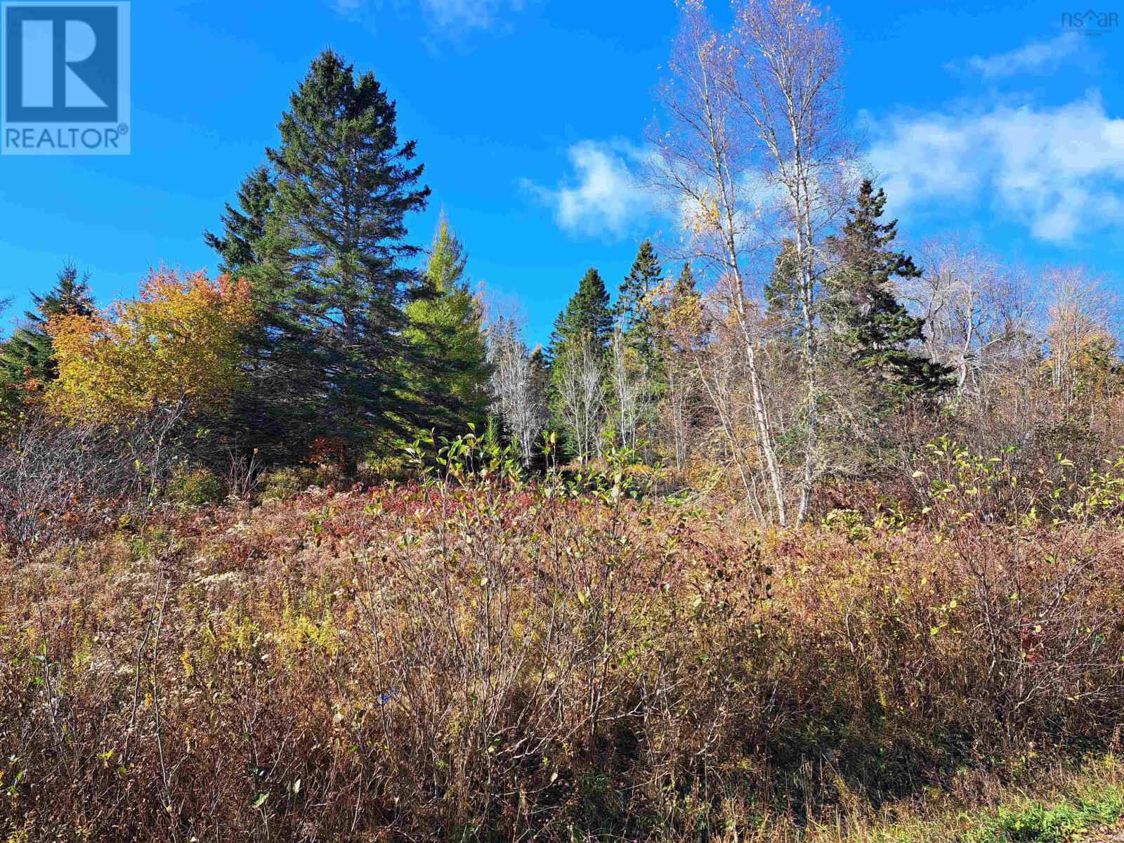 Lot 11-1 Selma Road, Selma, Nova Scotia  B0N 1T0 - Photo 3 - 202425515