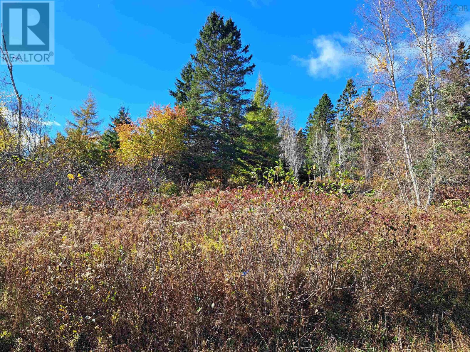 Lot 11-1 Selma Road, Selma, Nova Scotia  B0N 1T0 - Photo 4 - 202425515