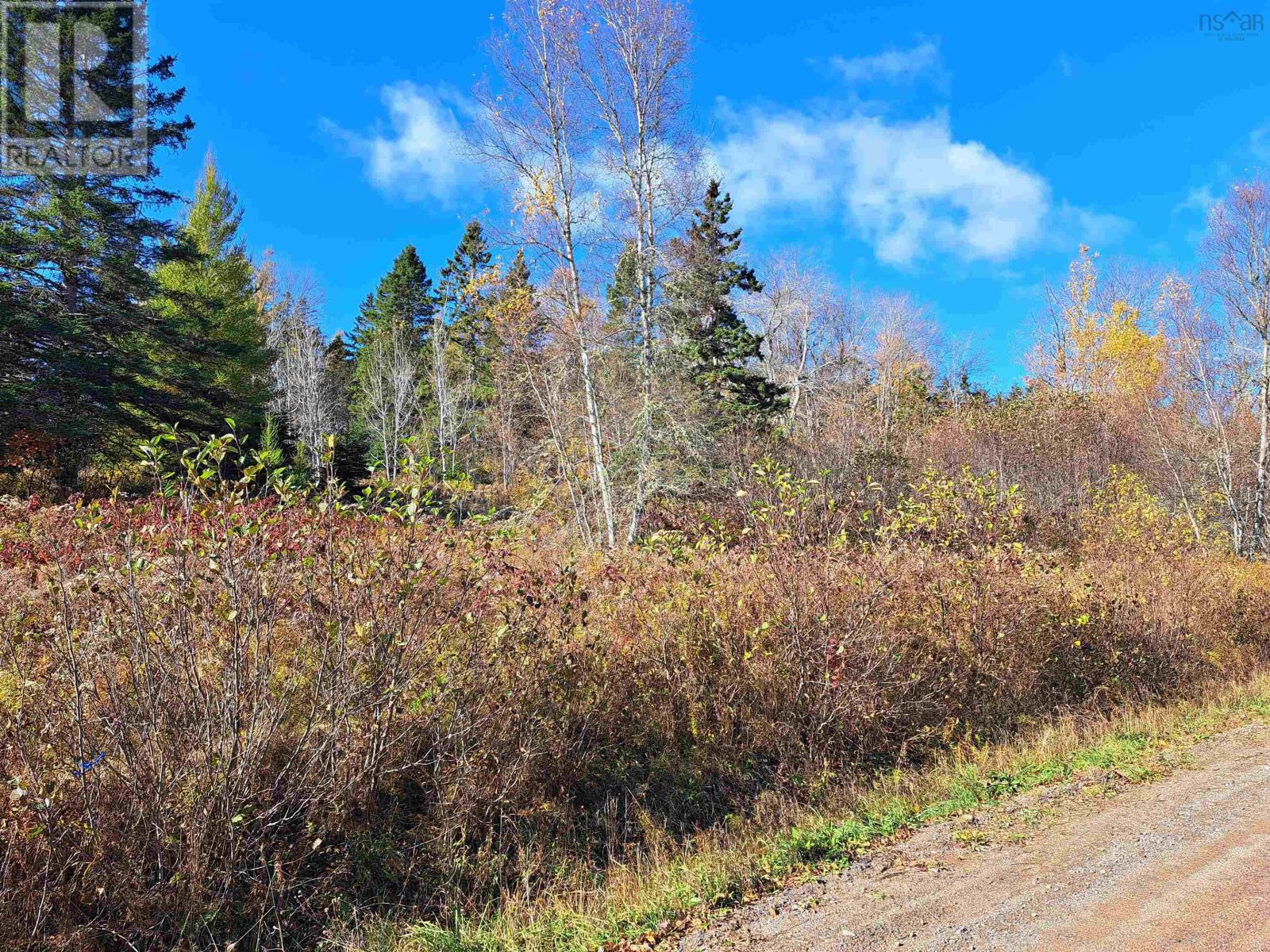 Lot 11-1 Selma Road, Selma, Nova Scotia  B0N 1T0 - Photo 5 - 202425515