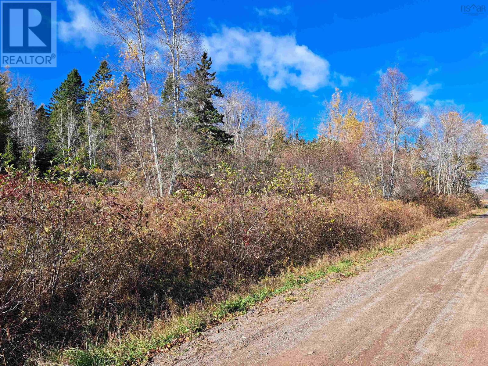 Lot 11-1 Selma Road, Selma, Nova Scotia  B0N 1T0 - Photo 6 - 202425515