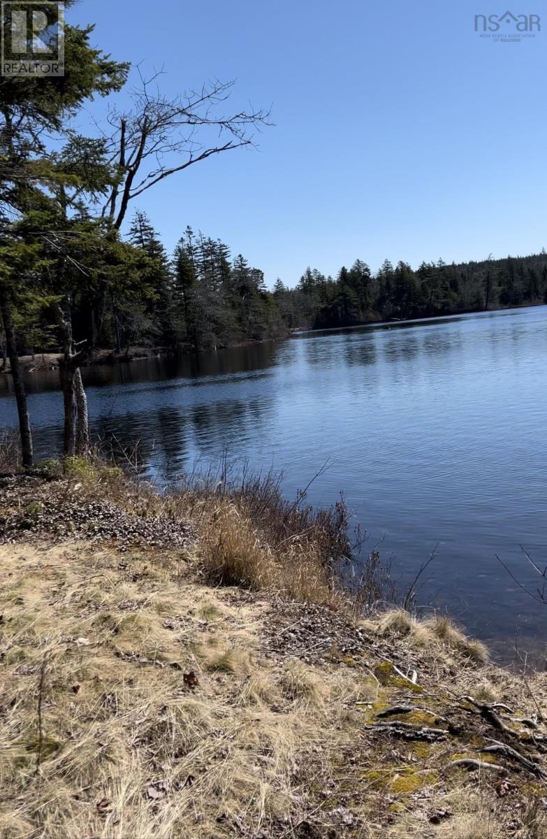 Lot 1 0 Cameron Settlement Road, Cameron Settlement, Nova Scotia  B0H 1E0 - Photo 15 - 202425516