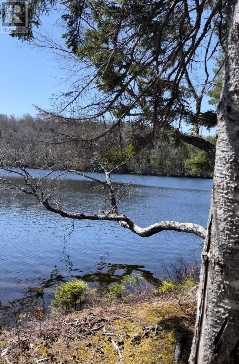 Lot 1 0 Cameron Settlement Road, Cameron Settlement, Nova Scotia  B0H 1E0 - Photo 16 - 202425516