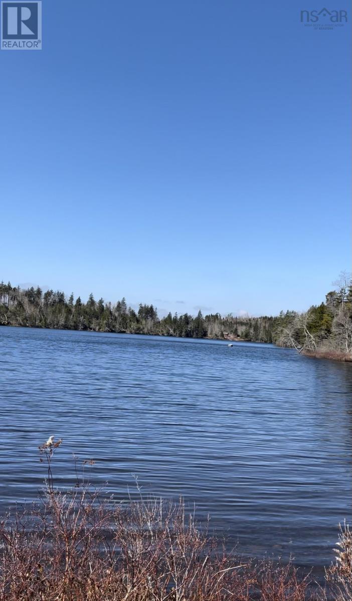 Lot 1 0 Cameron Settlement Road, Cameron Settlement, Nova Scotia  B0H 1E0 - Photo 18 - 202425516