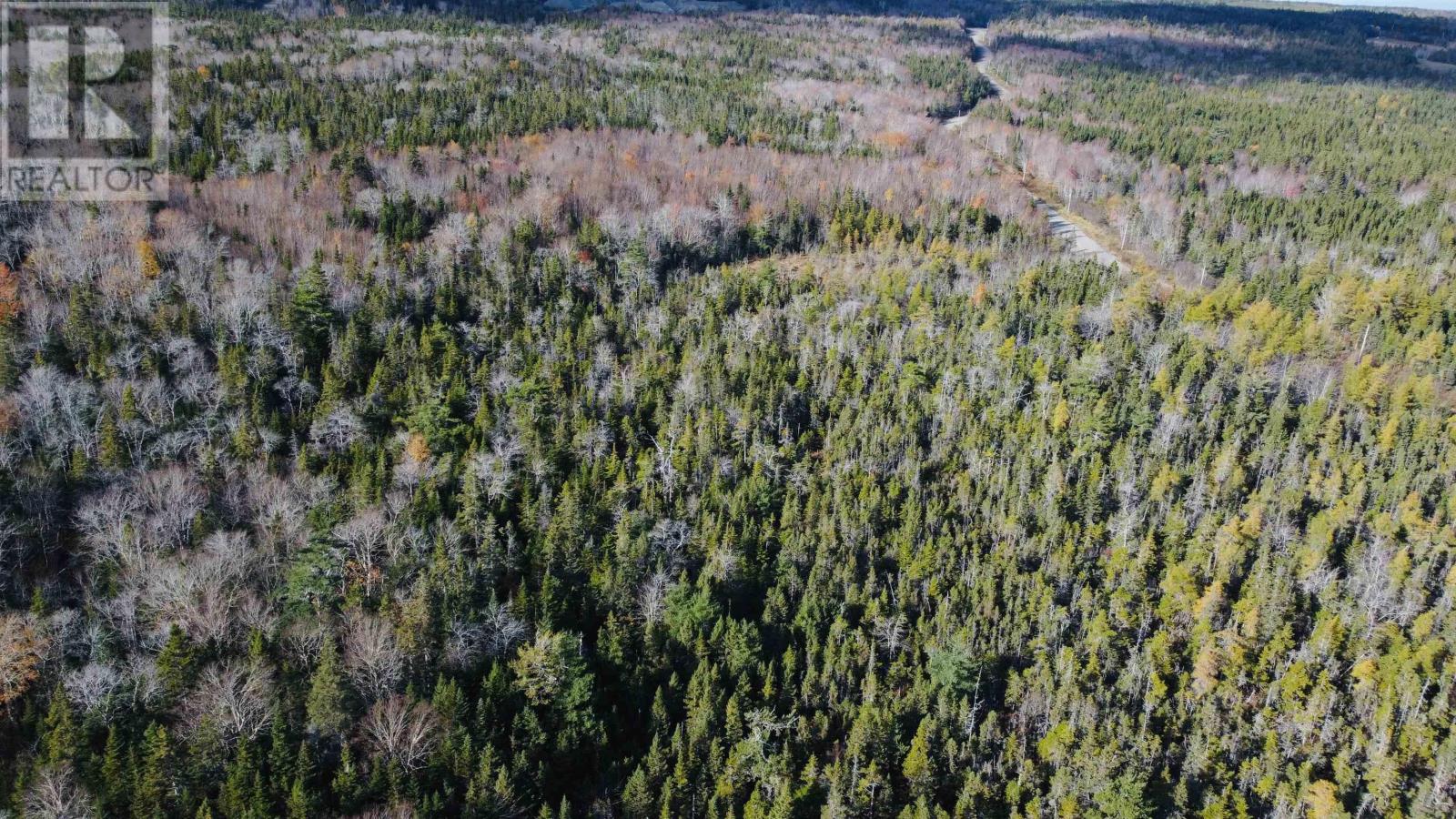 Mountain Road, Seaview, Nova Scotia  B0E 3B0 - Photo 2 - 202425523