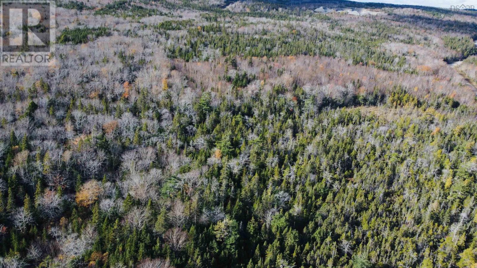 Mountain Road, Seaview, Nova Scotia  B0E 3B0 - Photo 6 - 202425523