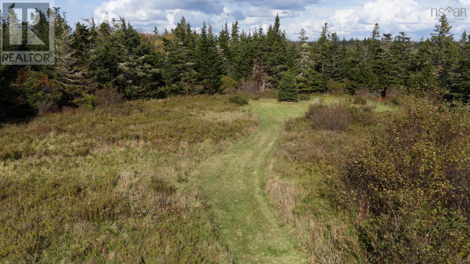 1973 Comeaus Hill Road, Comeaus Hill, Nova Scotia  B0W 1B0 - Photo 33 - 202425545