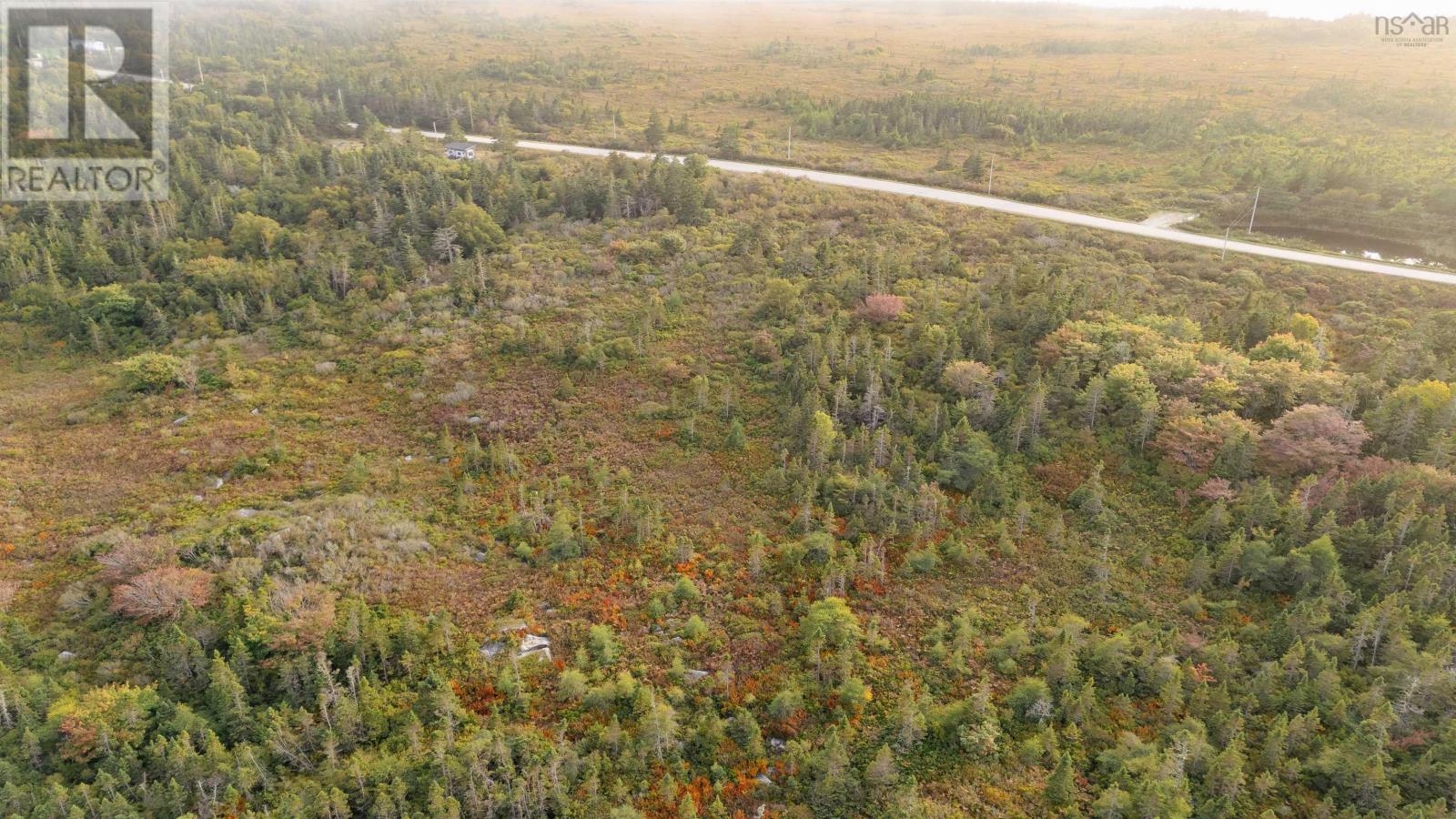 Lot Comeaus Hill Road, Comeaus Hill, Nova Scotia  B0W 1B0 - Photo 10 - 202425546