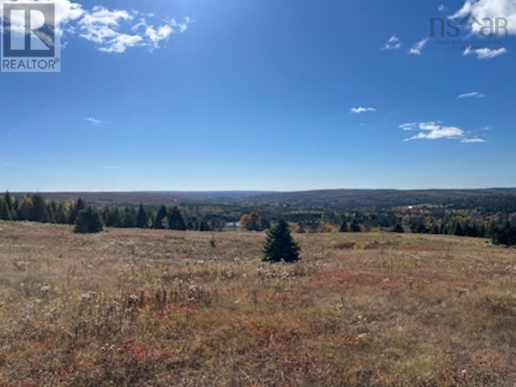 Mckenzie Settlement Road, North River, Nova Scotia  B6L 6J6 - Photo 3 - 202425559