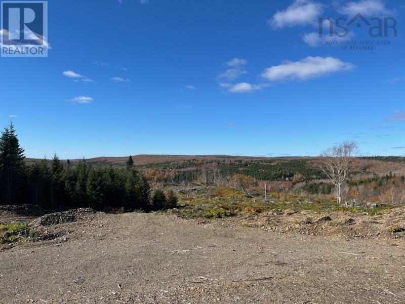 Mckenzie Settlement Road, North River, Nova Scotia  B6L 6J6 - Photo 4 - 202425559