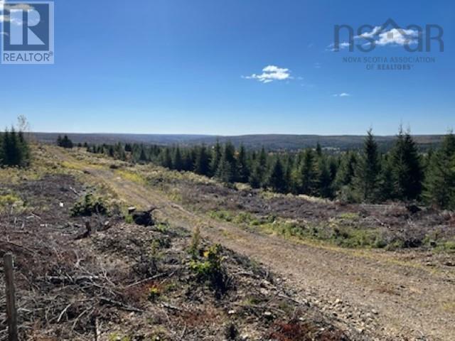 Mckenzie Settlement Road, North River, Nova Scotia  B6L 6J6 - Photo 5 - 202425559