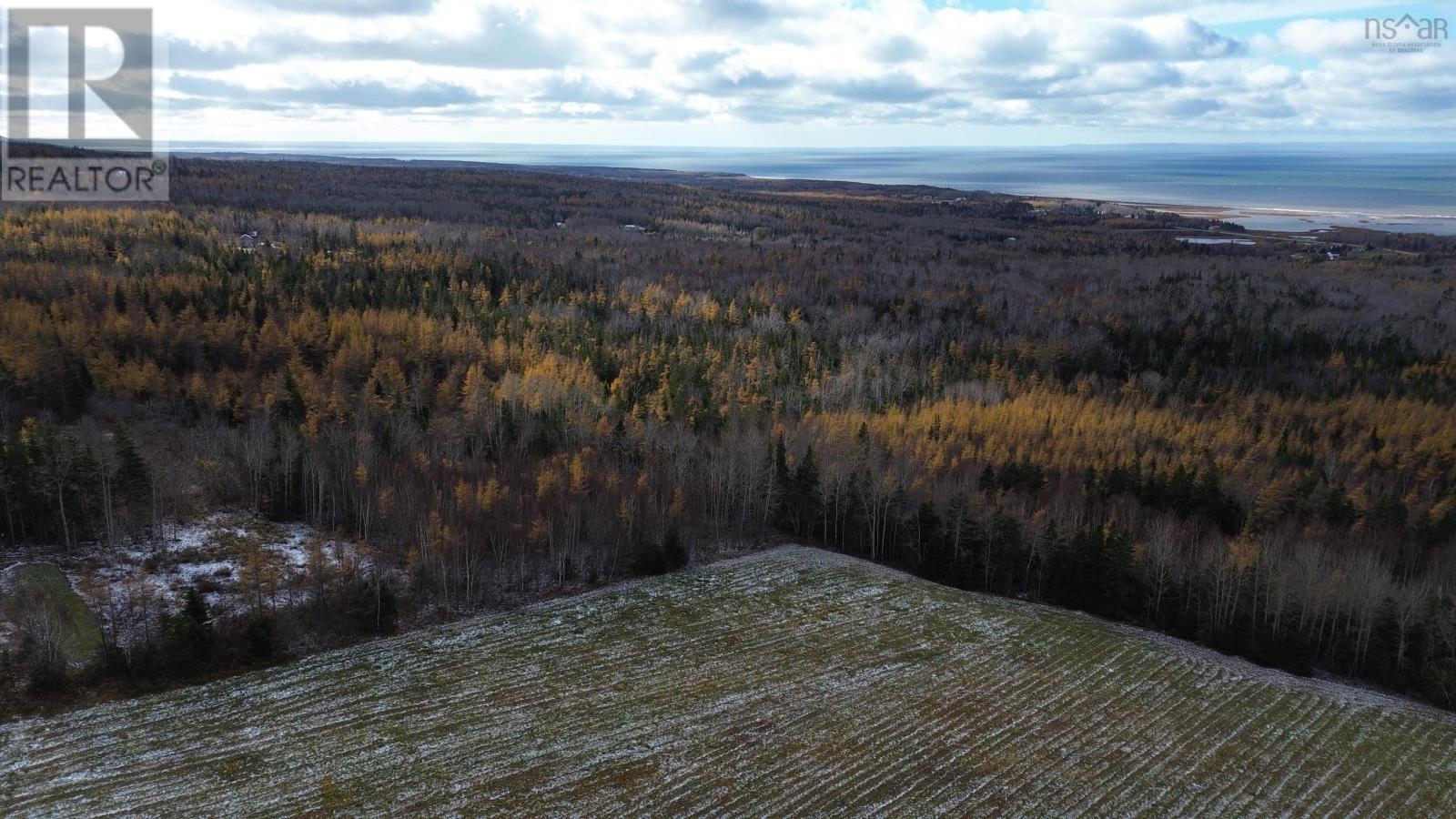 Acreage Mill Brook Road, Judique North, Nova Scotia  B0E 1P0 - Photo 11 - 202425594