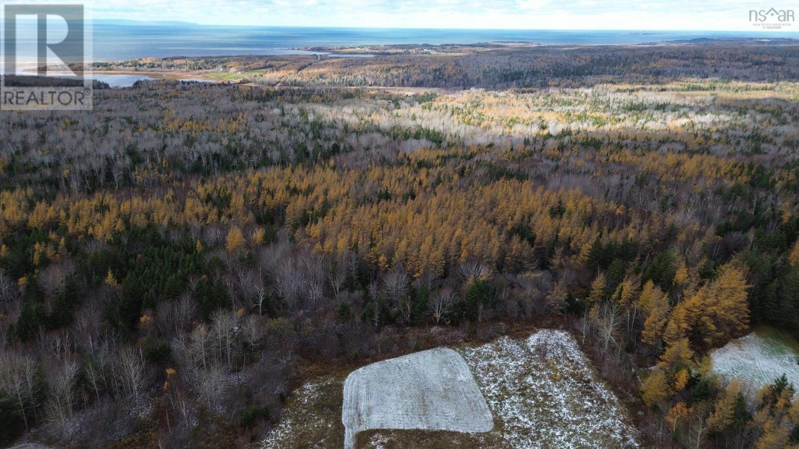 Acreage Mill Brook Road, Judique North, Nova Scotia  B0E 1P0 - Photo 13 - 202425594