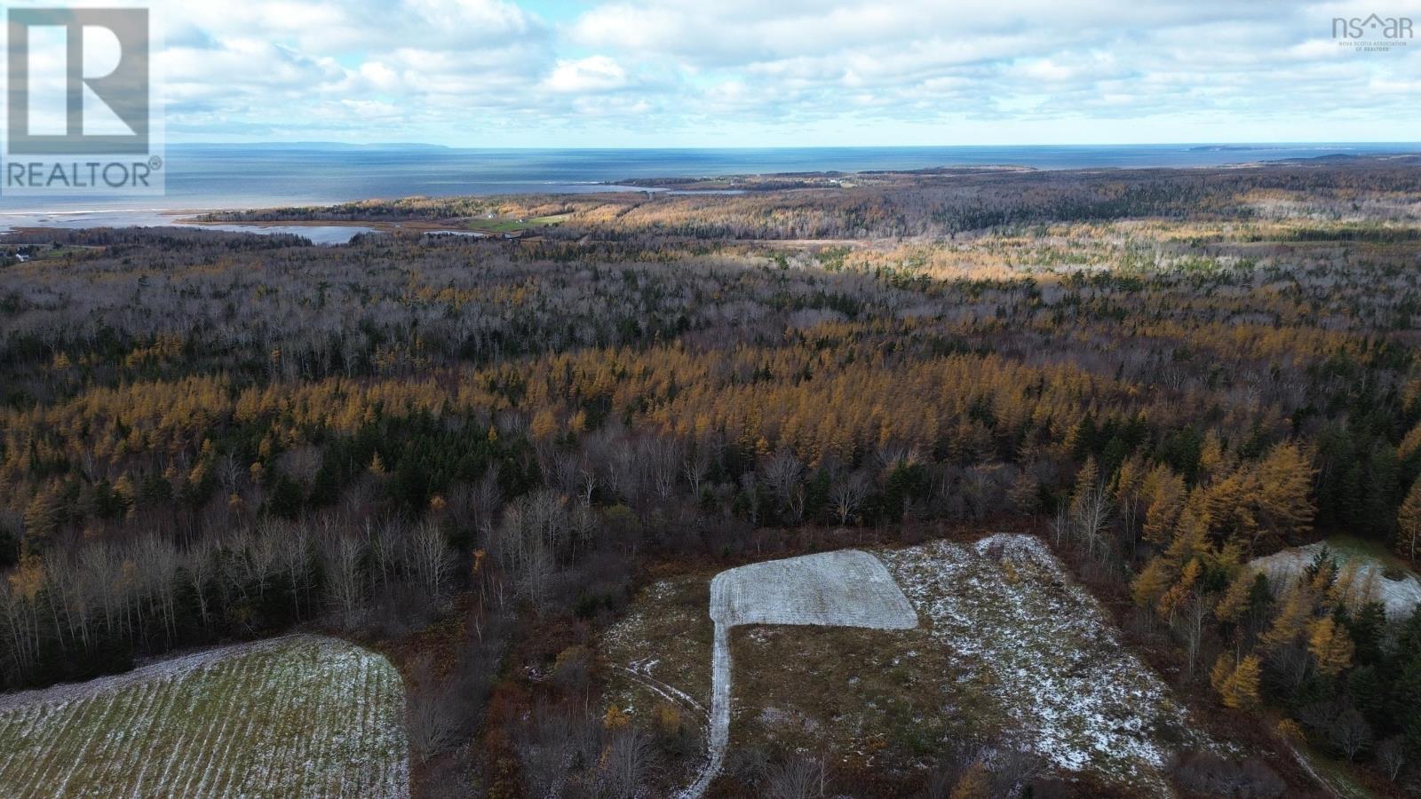 Acreage Mill Brook Road, Judique North, Nova Scotia  B0E 1P0 - Photo 16 - 202425594