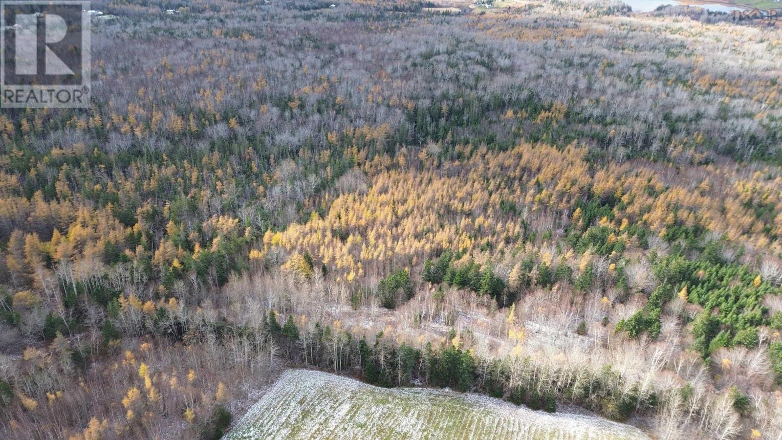 Acreage Mill Brook Road, Judique North, Nova Scotia  B0E 1P0 - Photo 17 - 202425594