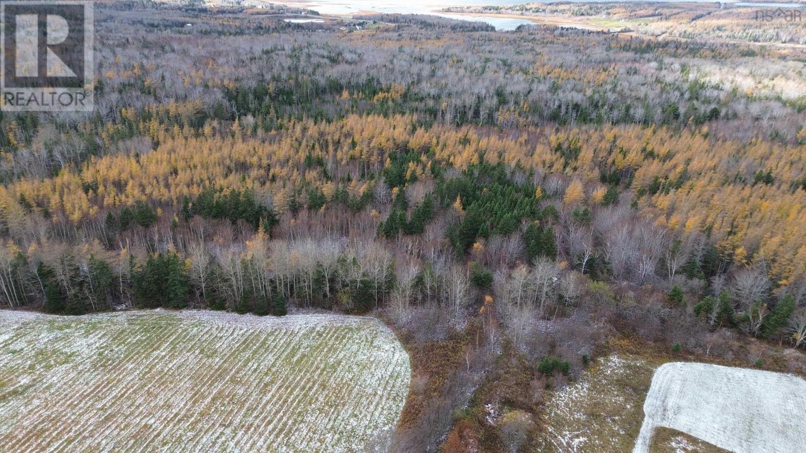 Acreage Mill Brook Road, Judique North, Nova Scotia  B0E 1P0 - Photo 18 - 202425594